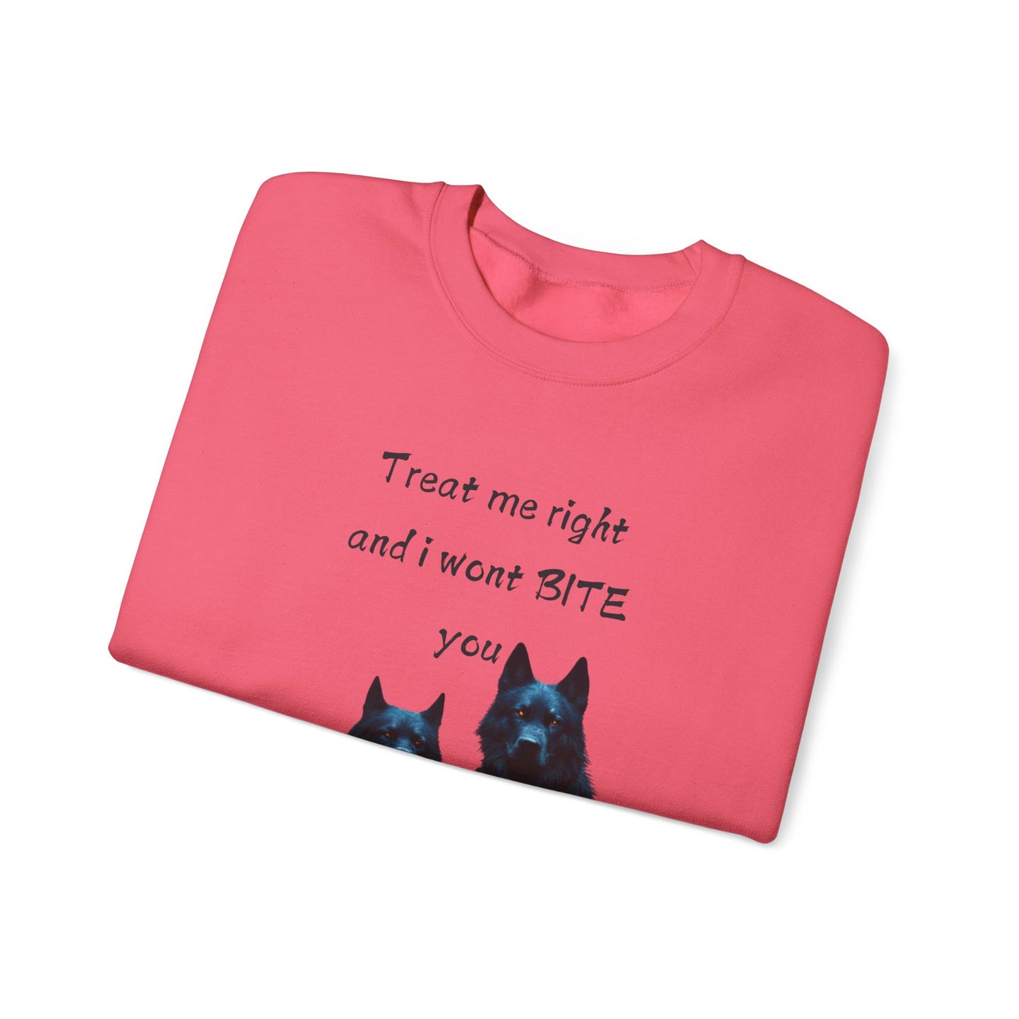 πΎ Funny Dog Lover Pink Sweatshirt β "Treat Me Right and I Won't Bite" Design for Dog Lovers & Pet Owners