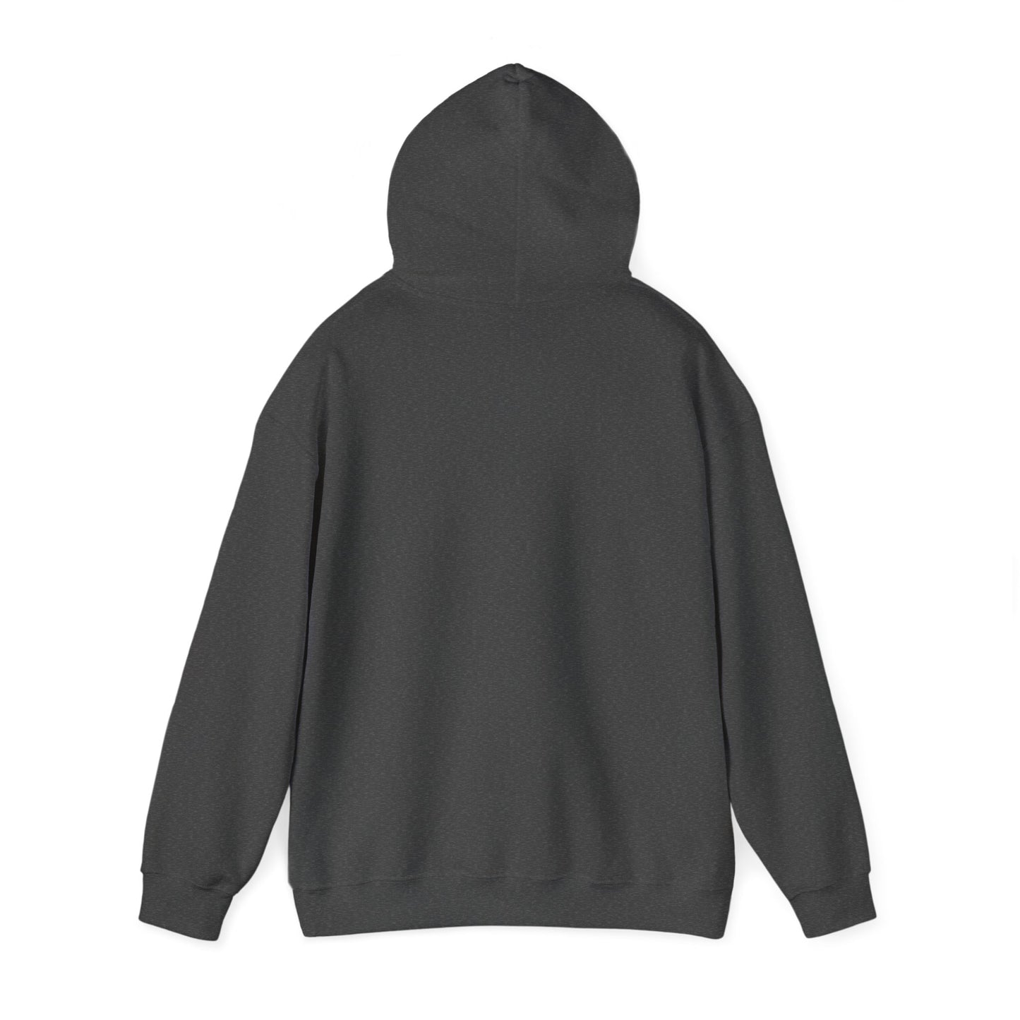 Electric Blue, Crimson Red & Obsidian Black Hoodies – Sonic, Knuckles & Shadow Gaming Sweatshirt with Drawstrings & Kangaroo Pocket