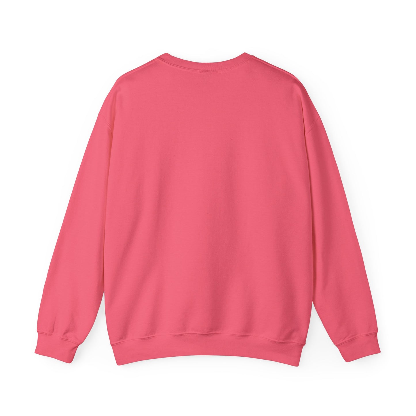 Sunset Coral Sweatshirt for Men & Women – Yorkshire Terrier My Owner Doesn’t Play About Me Graphic