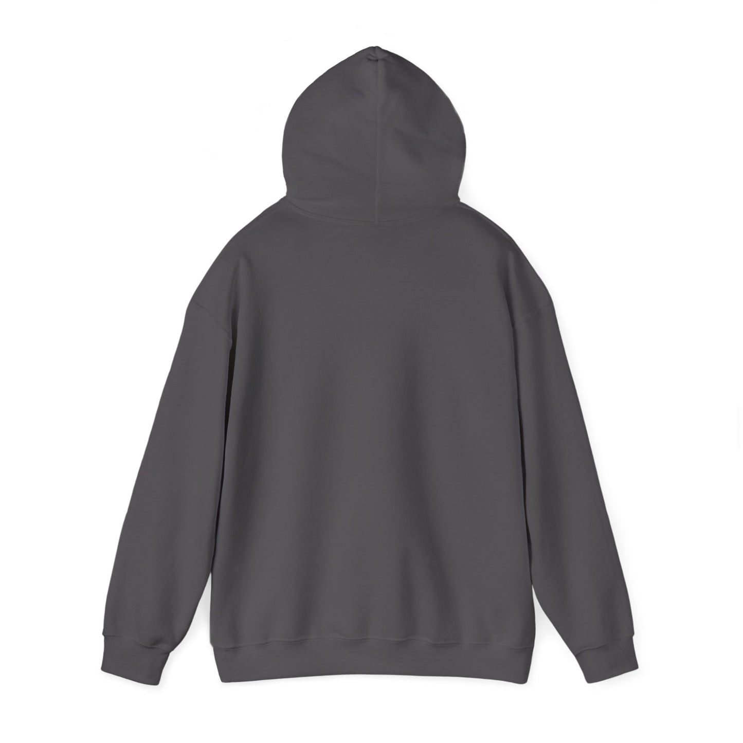 Electric Blue, Crimson Red & Obsidian Black Hoodies – Sonic, Knuckles & Shadow Gaming Sweatshirt with Drawstrings & Kangaroo Pocket