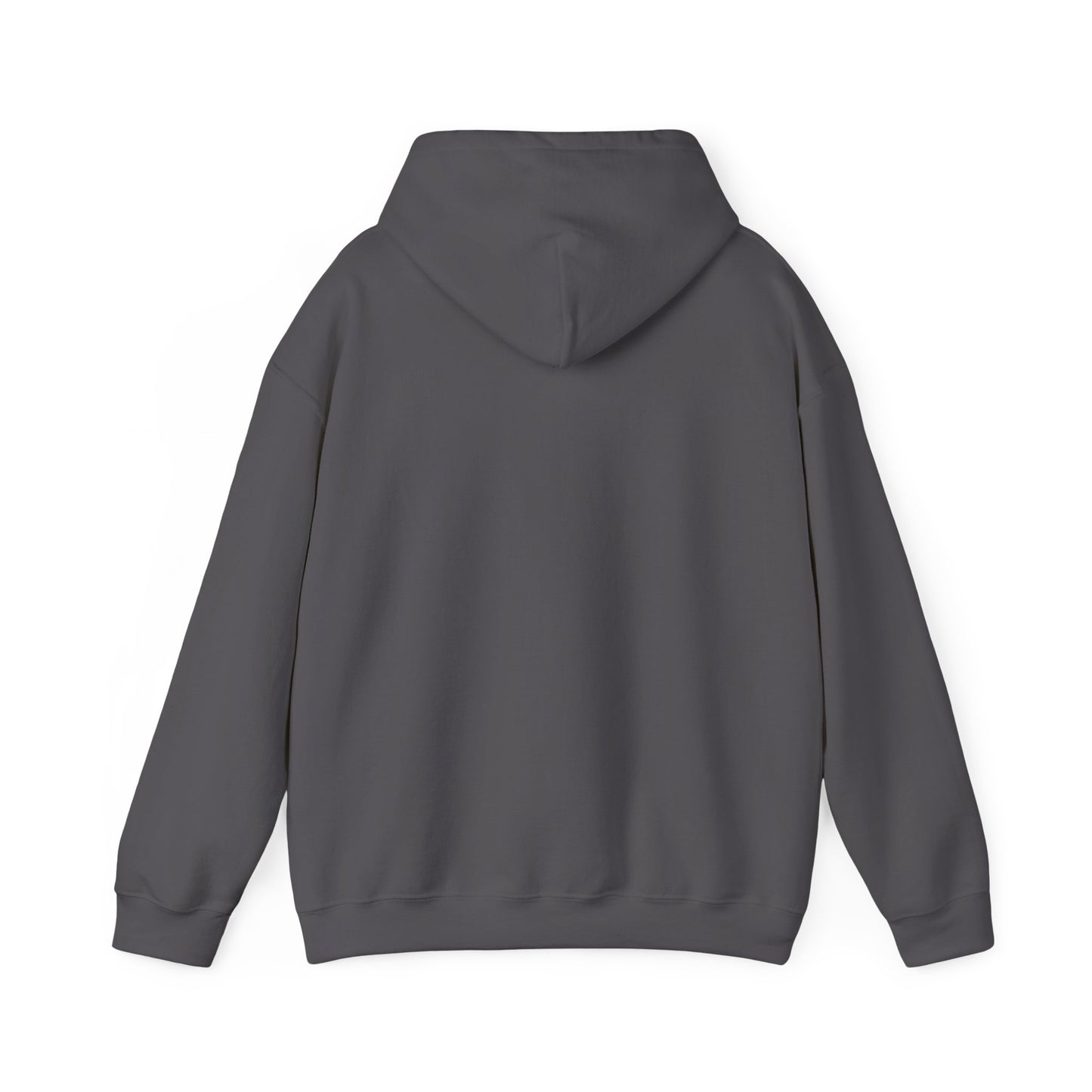 Electric Blue, Crimson Red & Obsidian Black Hoodies – Sonic, Knuckles & Shadow Gaming Sweatshirt with Drawstrings & Kangaroo Pocket