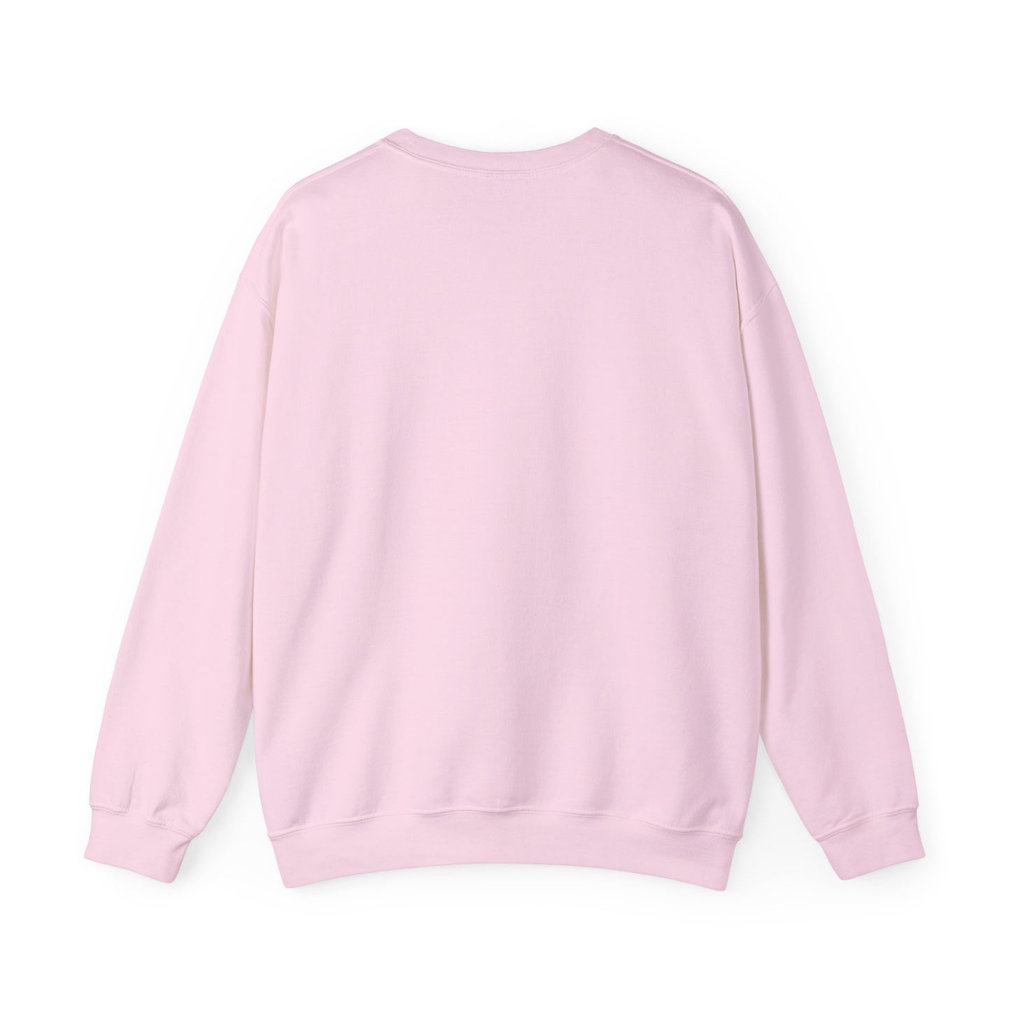 Sunset Coral Sweatshirt for Men & Women – Yorkshire Terrier My Owner Doesn’t Play About Me Graphic